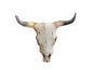 CK-BH-LS3 BULLHORN KNOB COLORED